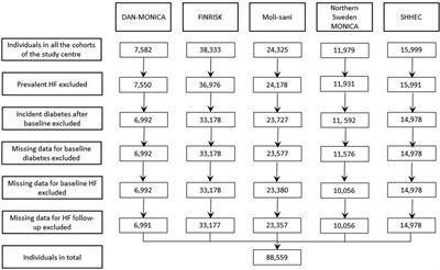 Diabetes and heart failure associations in women and men: Results from the MORGAM consortium